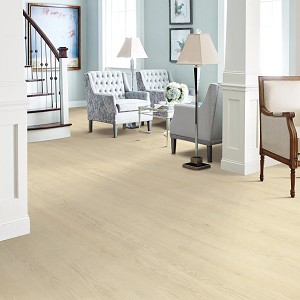 Willow Oak 12